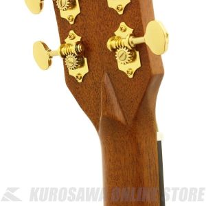 ARIA-505N オール単板 アコースティックギター アリア アコギ フォークギター 札幌市 中央区 南12条 AF-505 N | 【クロサワ楽器店オンラインショップ】いい楽器とのいい