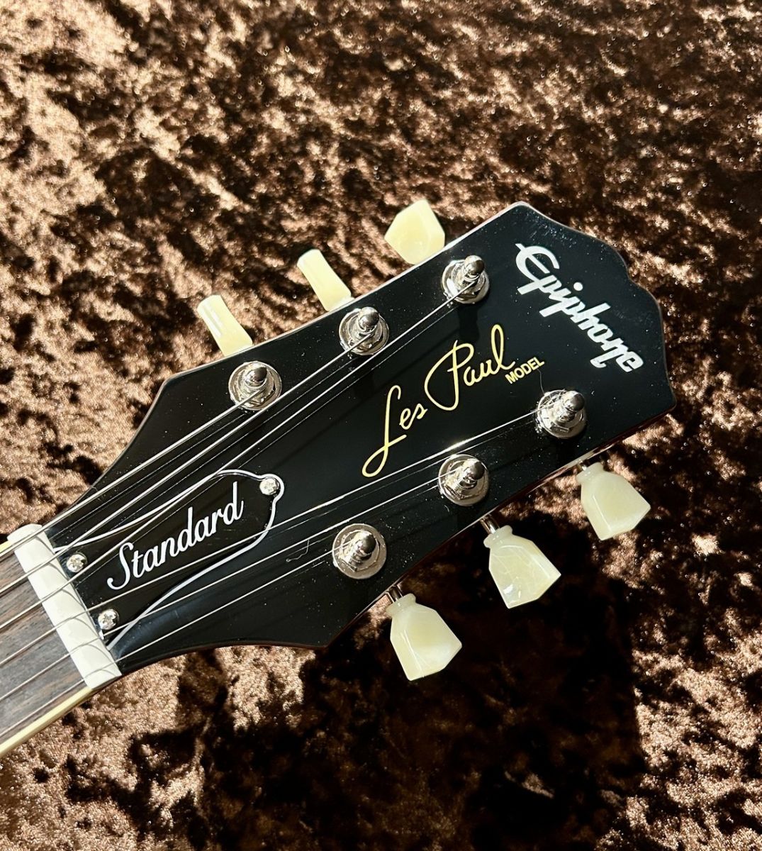 Les Paul Standard 50s Plain Top ~-Inverness Green- #25021527485