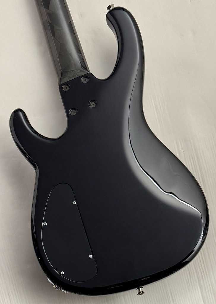 FB5 -Black- | 【クロサワ楽器店オンラインショップ】いい楽器と