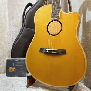 L.R.Baggs 【半期決算セール!!~8/31まで!!】【試奏動画あり】 AEG-1 TOR #0055 【音抜け抜群】【L.R.Baggsイコライザーペダルプレゼントキャンペーン】【送料当社負担】【池袋店在庫品】