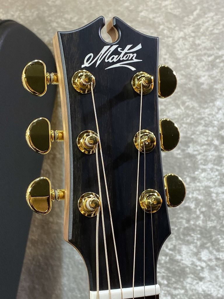 EBG808PF LTD #32128 LUTZ Natural | 【クロサワ楽器店オンライン