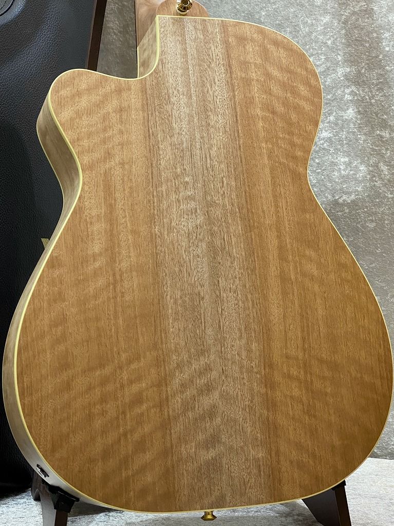 EBG808PF LTD #32128 LUTZ Natural | 【クロサワ楽器店
