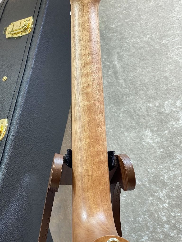 EBG808PF LTD #32128 LUTZ Natural | 【クロサワ楽器店