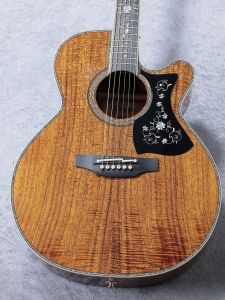 Takamine 【ハイグレードハワイアンコア】 DMP500 ~Glass Flower~ 【送料当社負担・分割48回無金利】