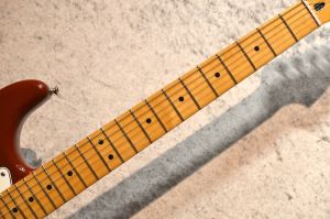 看板プレイヤーメイプル sp Fender 【現物画像】 Player Plus Stratocaster Maple