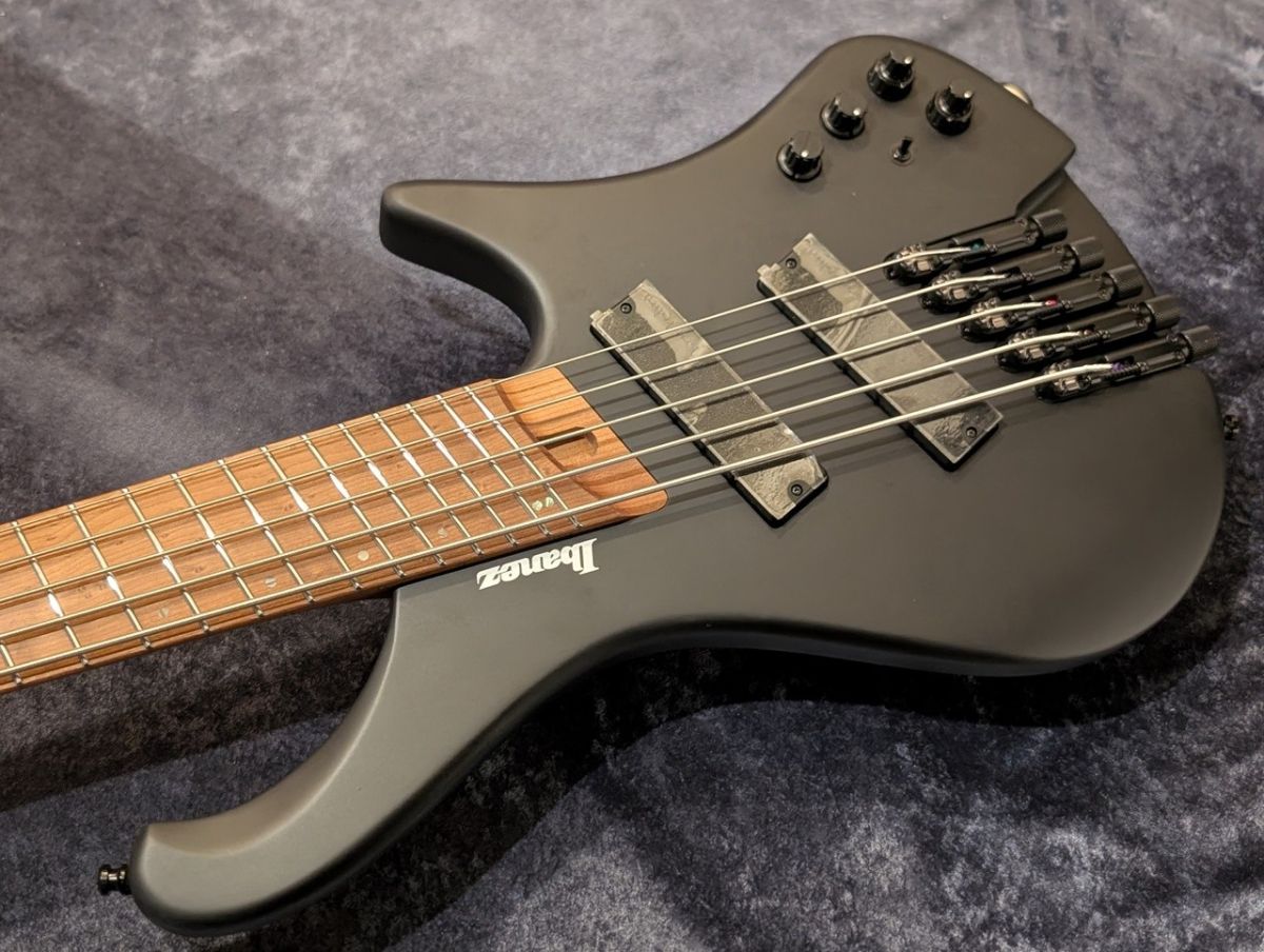 EHB1005MS -Black Flat - | 【クロサワ楽器店オンラインショップ