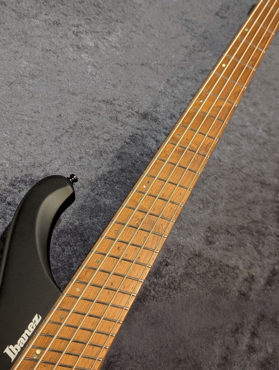 EHB1005MS -Black Flat - | 【クロサワ楽器店オンラインショップ】いい