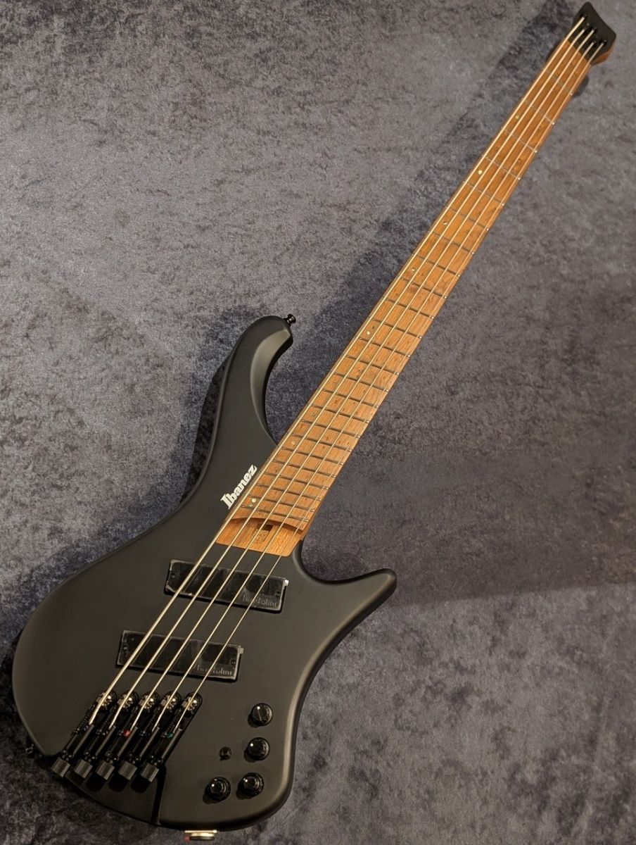 EHB1005MS -Black Flat - | 【クロサワ楽器店オンラインショップ