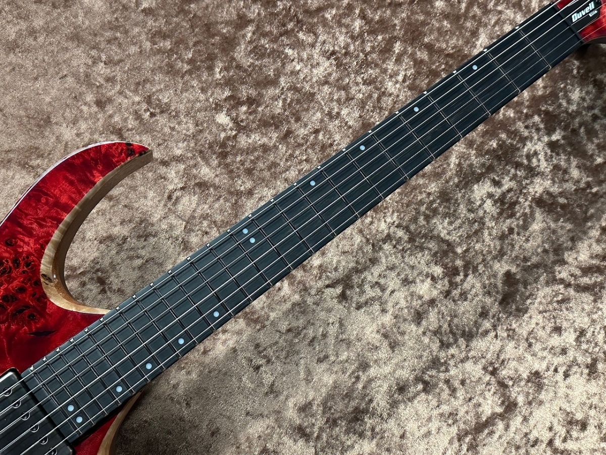 ギター MAYONES Duvell Elite 6 Mayones Duvell Elite 6 | Reverb Canada