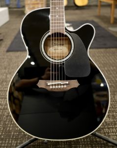 Takamine、黒 系のアコースティックギター検索結果一覧