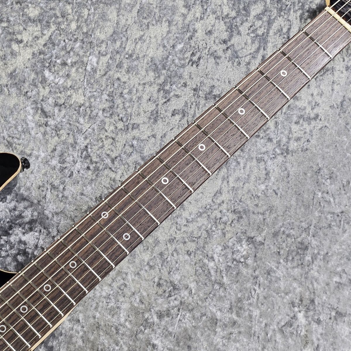 ESP SNAPPER-CTM/QM 20th Anniversary -See Thru Black Sunburst