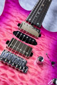 ギター T's guitars DST-Pro24 DST-Pro24,Type2 新発売のお知らせ · T's Guitars