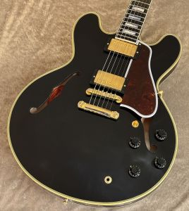 セミアコ 詳細不明 ☆謎のセミアコをMy New Gear！ : ジナパパ一家の何てことない日常