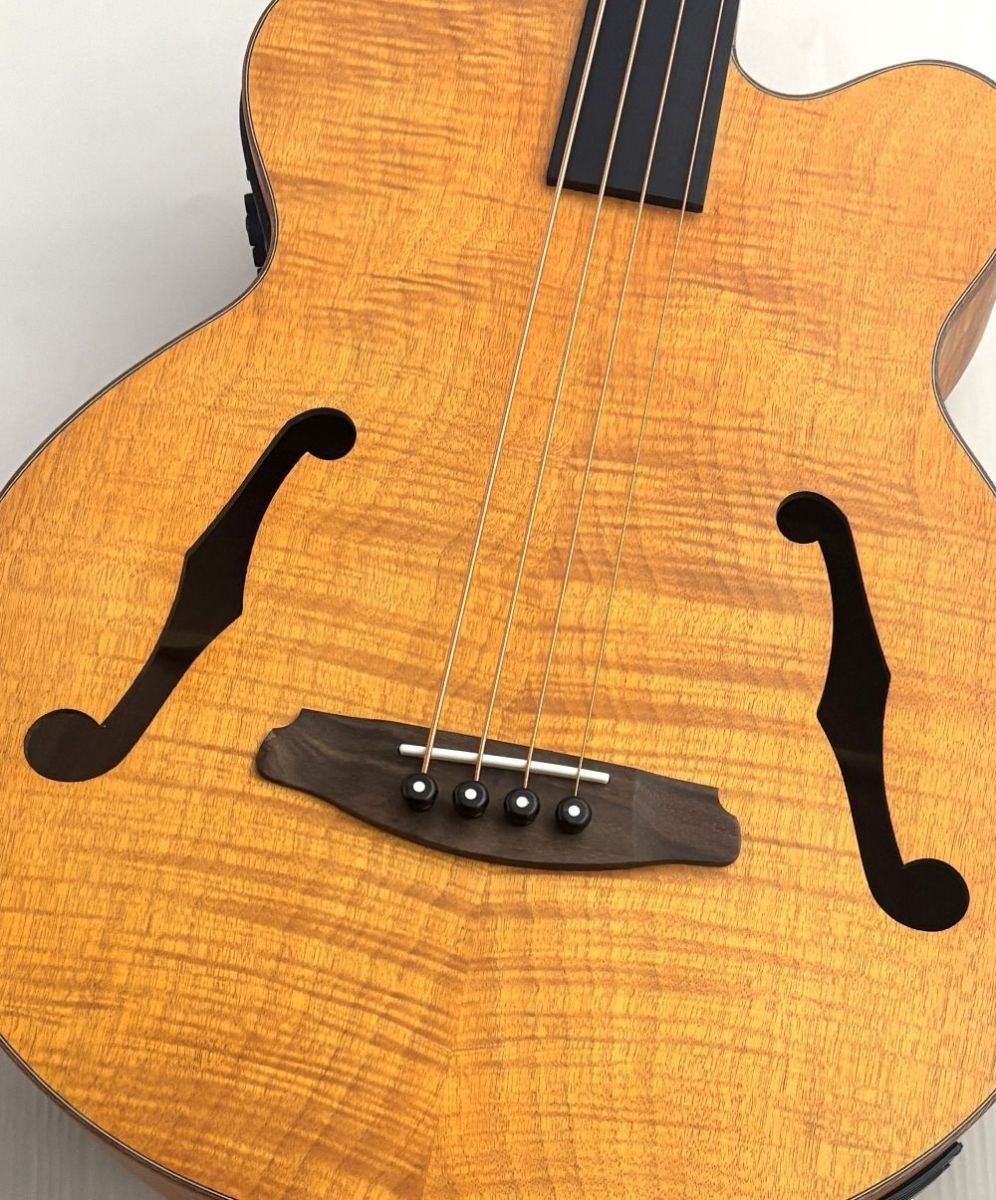 FEB-F2/FL -STBR- | 【クロサワ楽器店オンラインショップ】いい楽器と