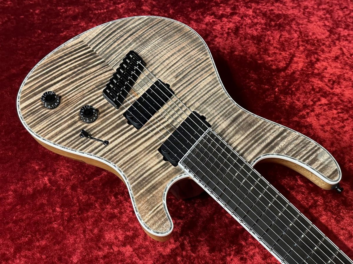 Regius VF 8 -Transparent Jeans Black Gloss- | 【クロサワ楽器