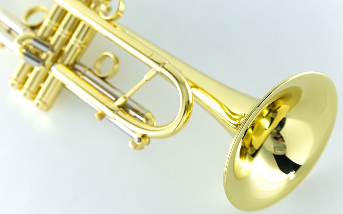 その他 Chicago 46Ⅱ Standard “GLOSS GOLD” | 【クロサワ楽器店