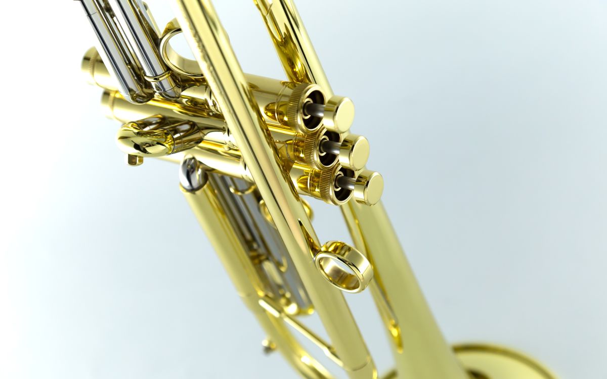 その他 Chicago 46Ⅱ Standard “GLOSS GOLD” | 【クロサワ楽器店