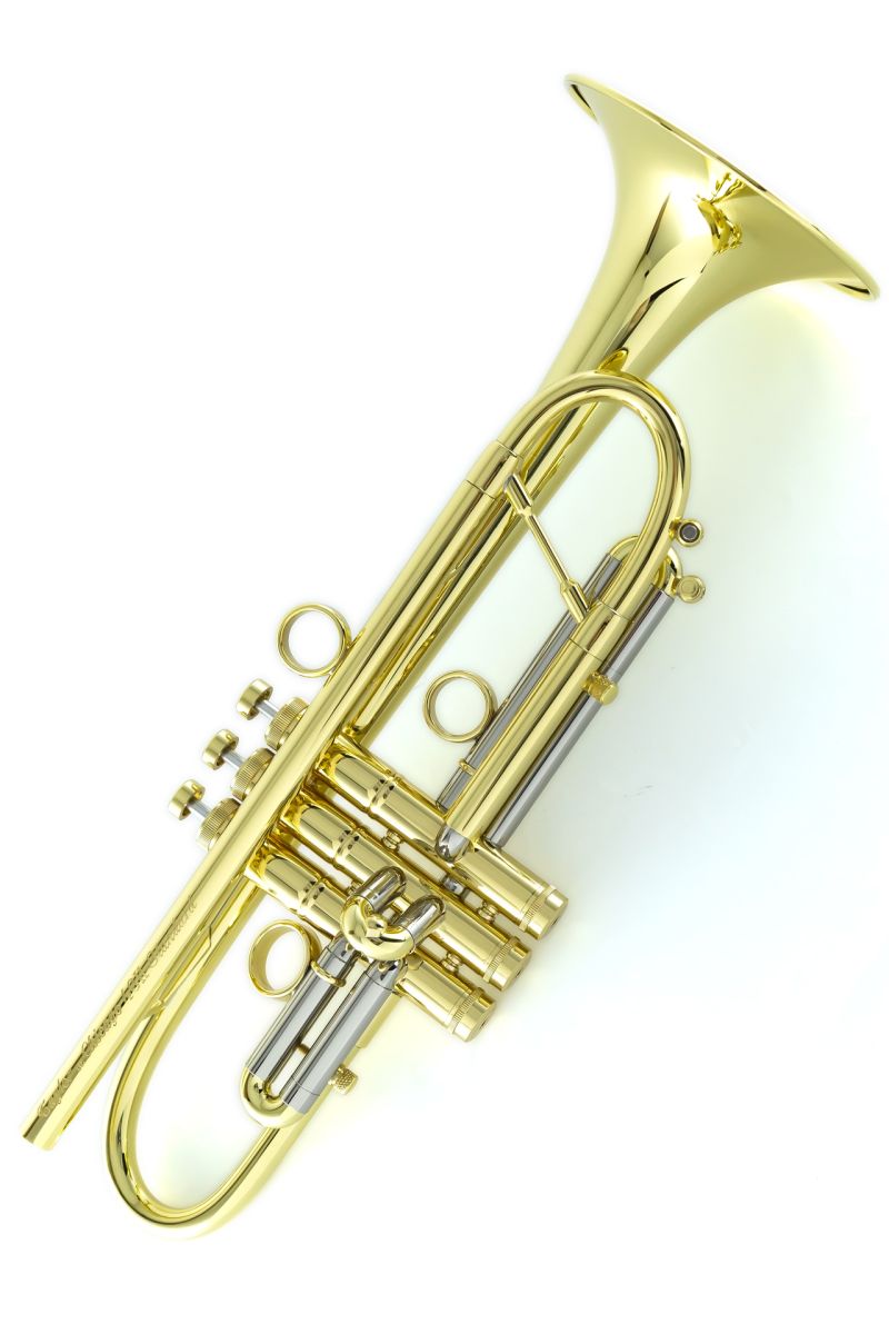 その他 Chicago 46Ⅱ Standard “GLOSS GOLD” | 【クロサワ楽器店