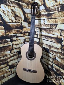 Hofner カール・ヘフナー Classical Master Series HM89-0 松・ローズ