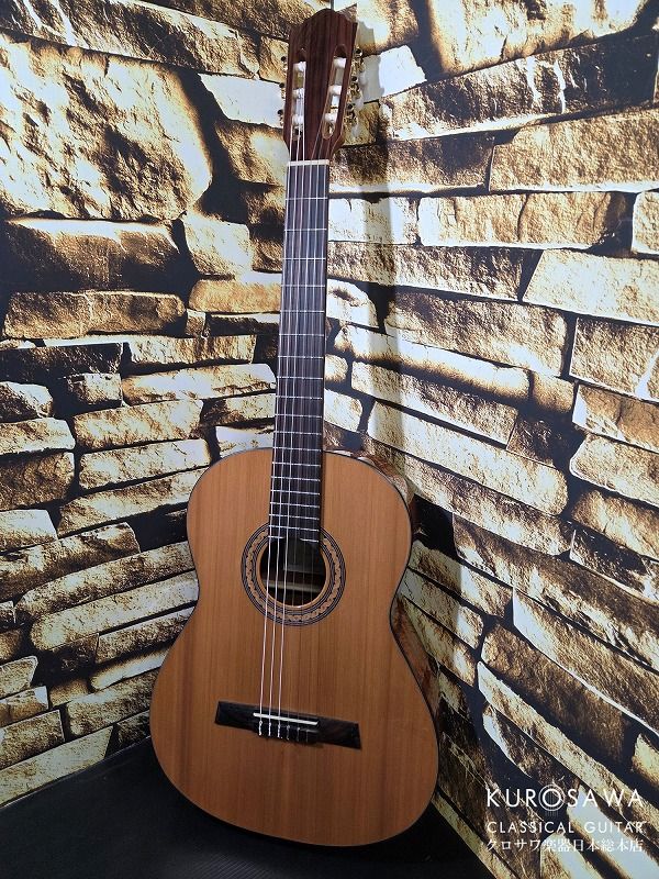 Hofner カール・ヘフナー Classic Series HZ25 杉単板・マホガニー