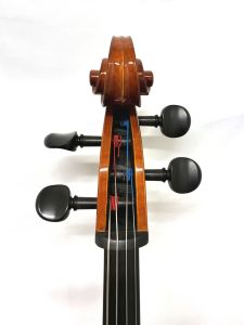 【手渡希望】R.Paesold PA601J ドイツチェロセット PA601J (ローデリヒ・ペゾルト) | 【クロサワ楽器店オンライン