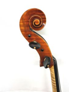 aacf56c8-0dac-4787-a3ee-