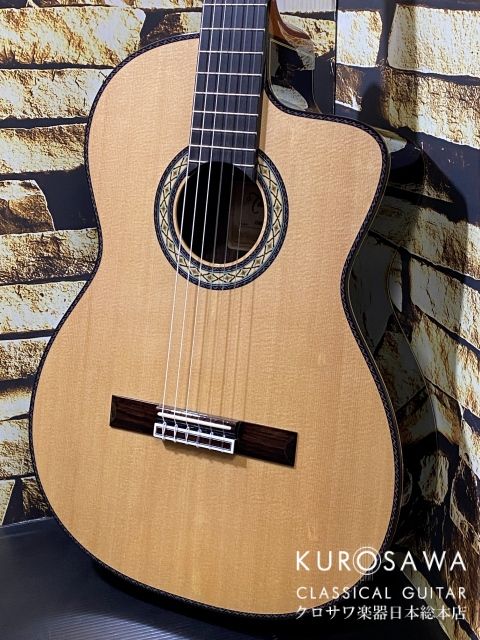 タカミネ DMP370NC | 【クロサワ楽器店オンラインショップ】いい楽器と