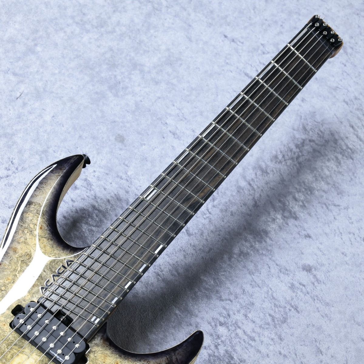 輝くモダンゴージャス【BIKO】Molten Studs カナダ製 MC7-MV-BC-BURL-MAPLE-WSE-22-NJ