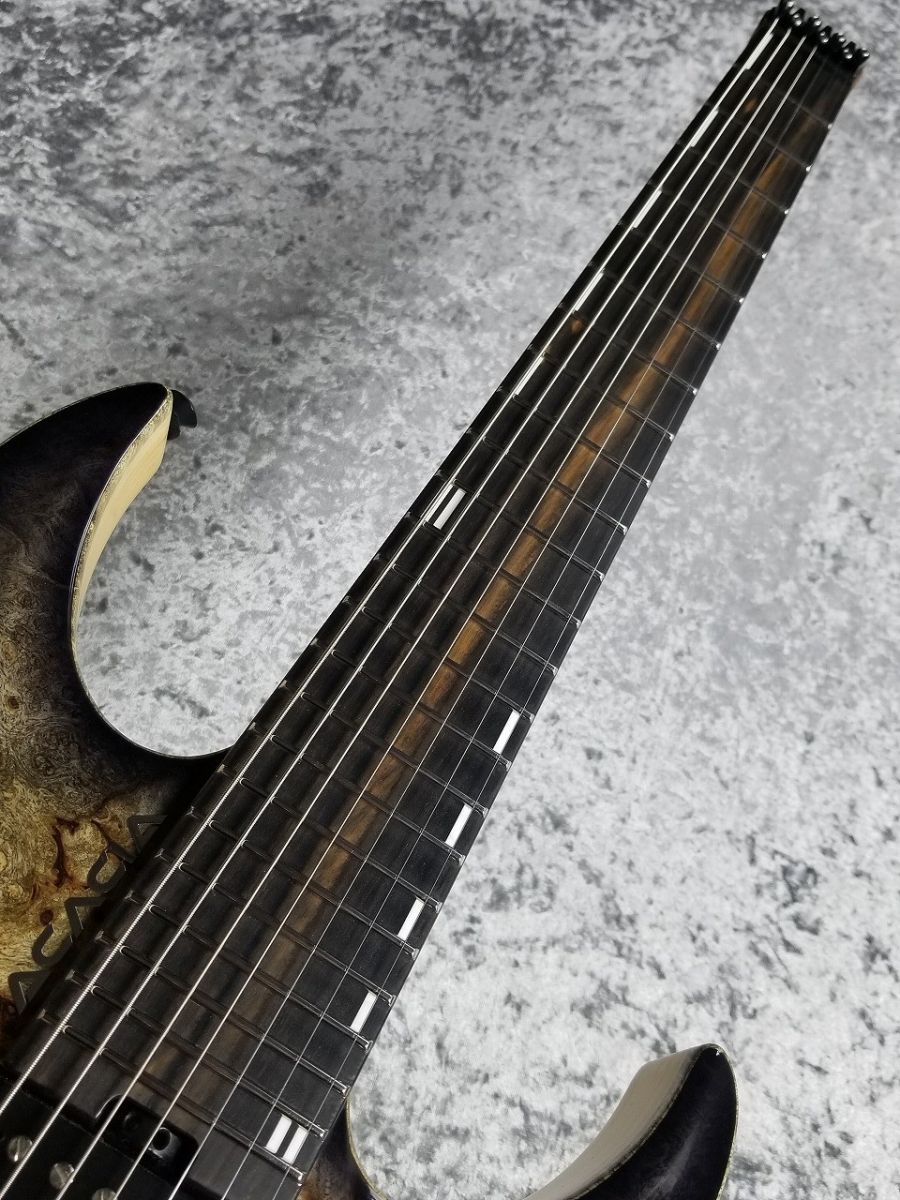 Medusa7 「Black Burst」 | 【クロサワ楽器店オンラインショップ】いい