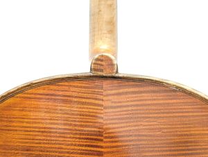 【送料込み】チェロ（ラベル無し) (駒DRESDEN) 4/4 No Label (ノー ラベル) | 【クロサワ楽器店オンラインショップ