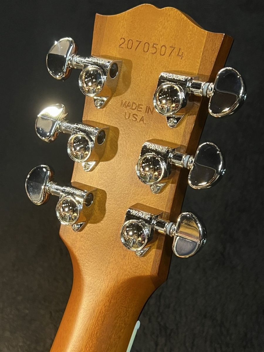 Hummingbird Faded HCS #20705074 | 【クロサワ楽器店オンライン