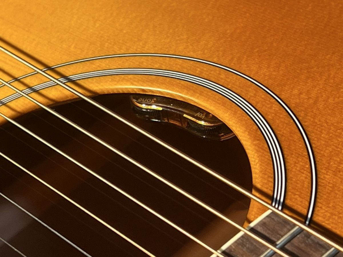 Hummingbird Faded HCS #20705074 | 【クロサワ楽器店オンライン