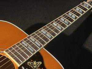 Hummingbird Faded HCS #20705074 | 【クロサワ楽器店オンライン