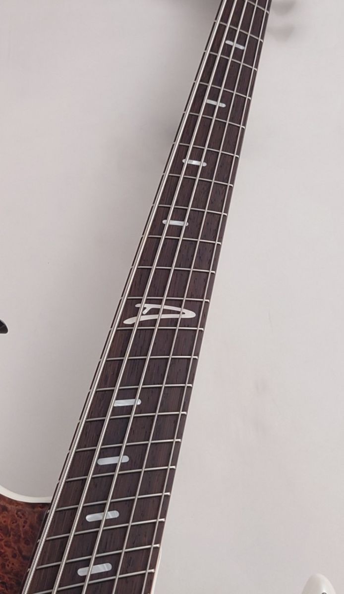 Z3 5st -Burled Maple Top- | 【クロサワ楽器店オンライン