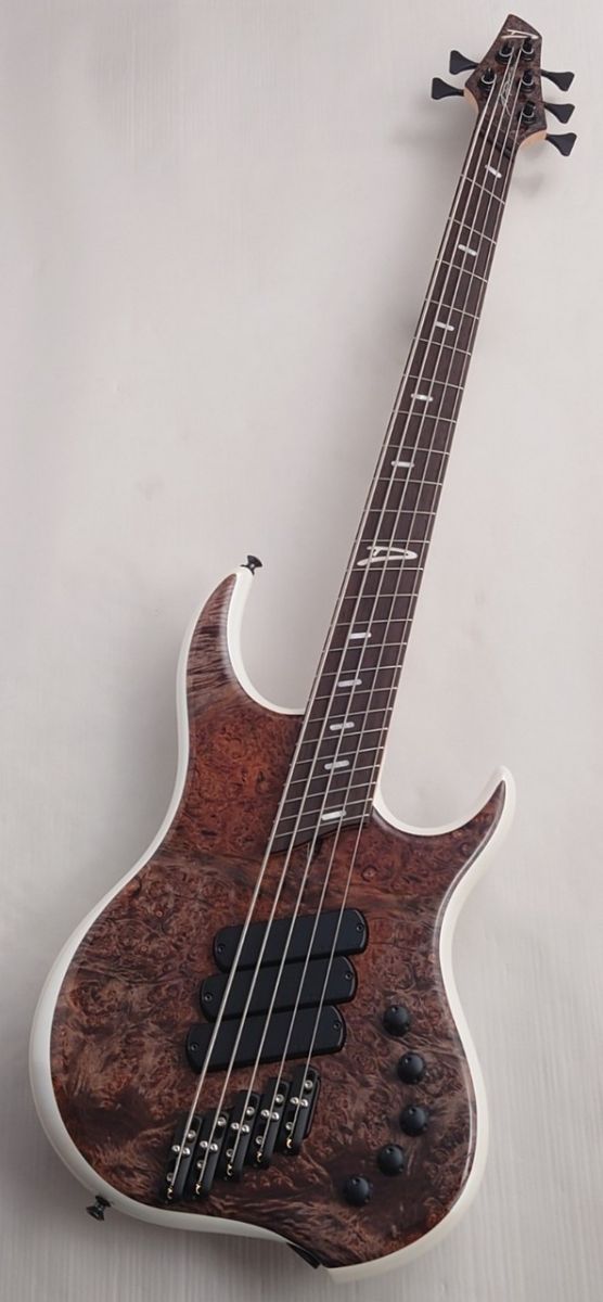 Z3 5st -Burled Maple Top- | 【クロサワ楽器店オンライン