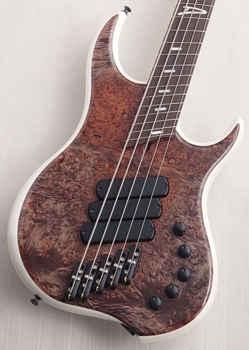 リラページです。 Z3 5st -Burled Maple Top- | 【クロサワ楽器店オンライン