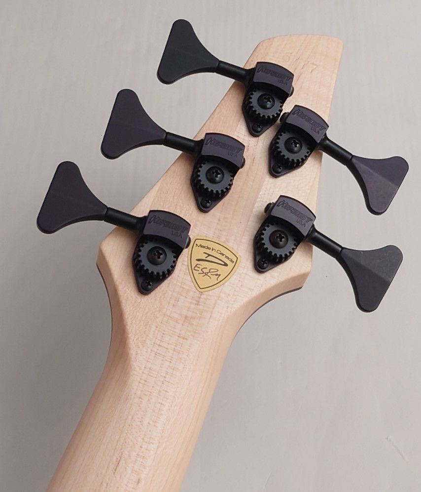 Z3 5st -Burled Maple Top- | 【クロサワ楽器店オンライン