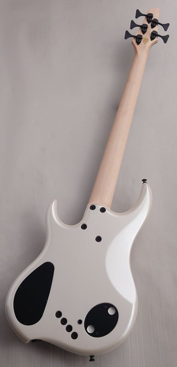 Z3 5st -Burled Maple Top- | 【クロサワ楽器店オンライン