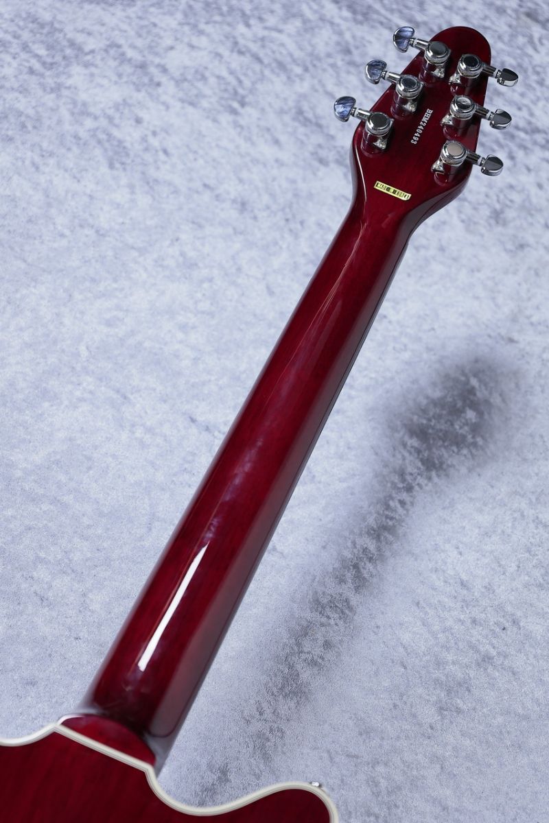 MONSTY モンスティ　エレキギター　赤 69 Burst European Figured Maple Top: エレキギター｜三木楽器