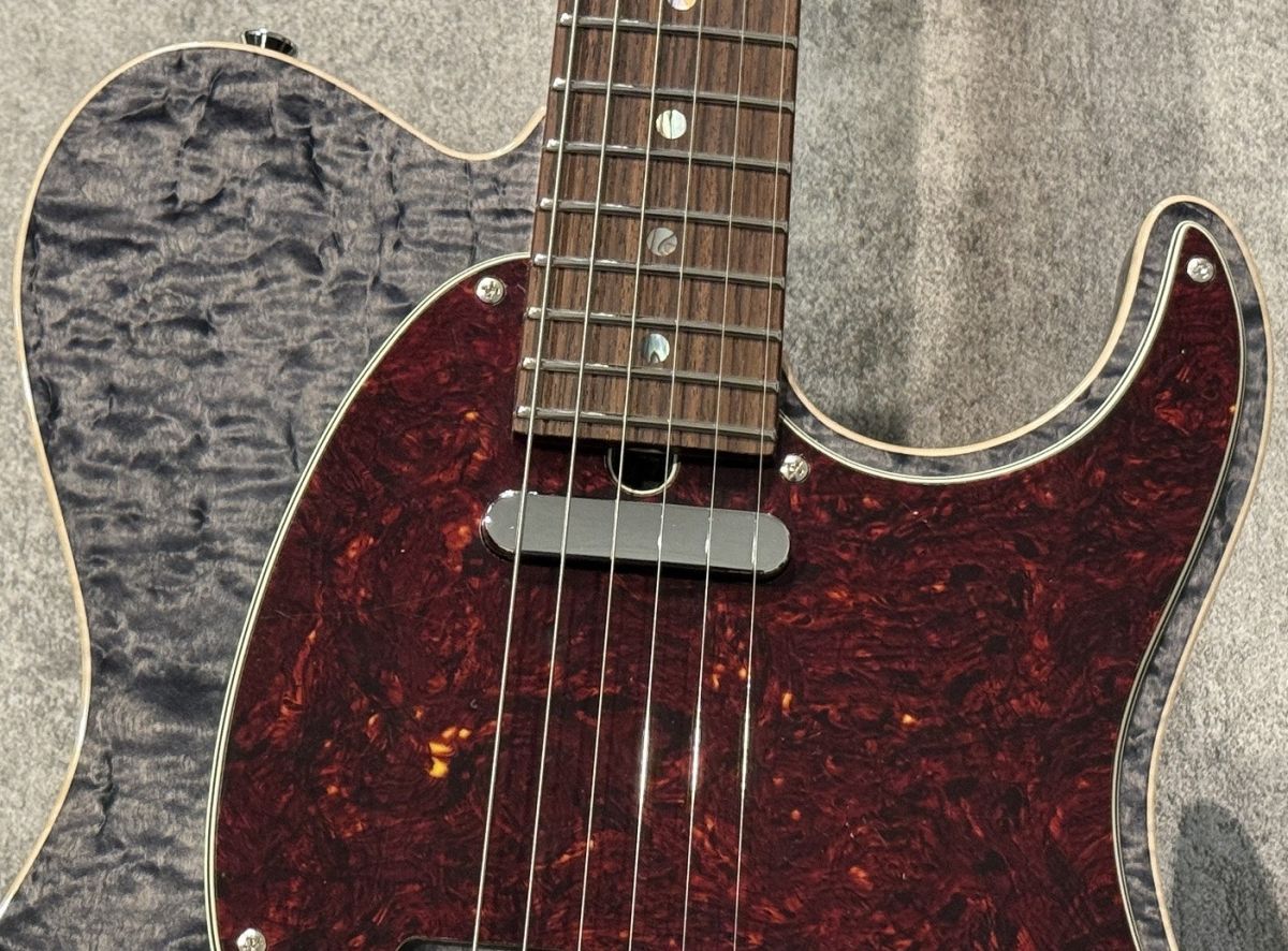 DTL-Classic 22 Trans Black | 【クロサワ楽器店オンラインショップ