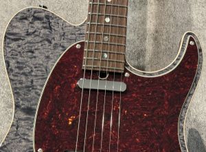 DTL-Classic 22 Trans Black | 【クロサワ楽器店オンラインショップ