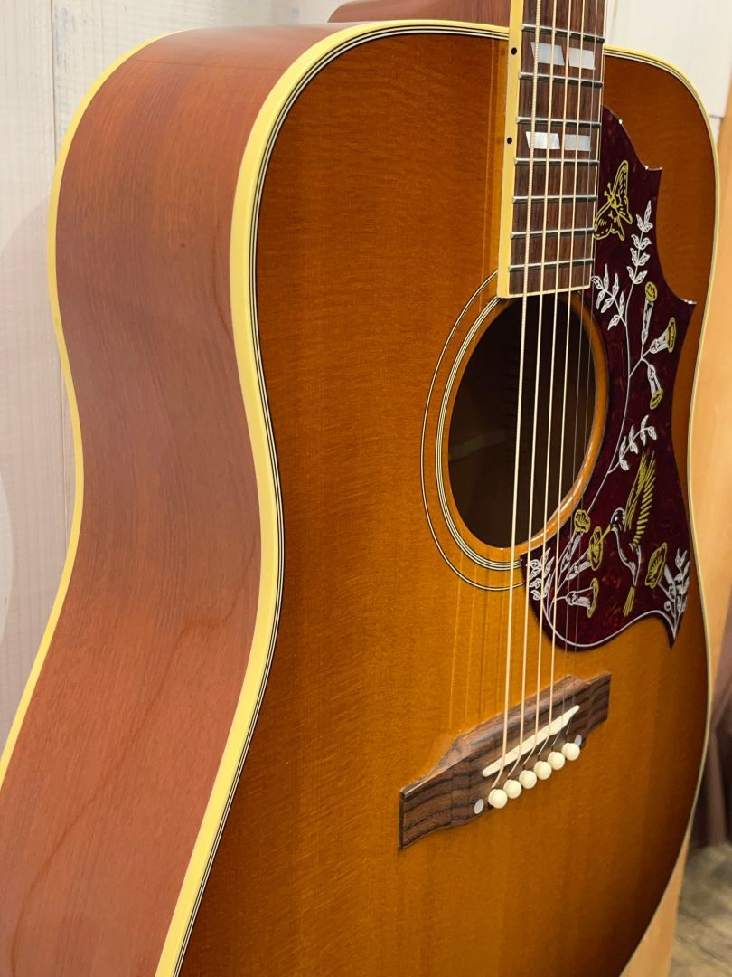 Hummingbird | 【クロサワ楽器店オンラインショップ】いい楽器とのいい