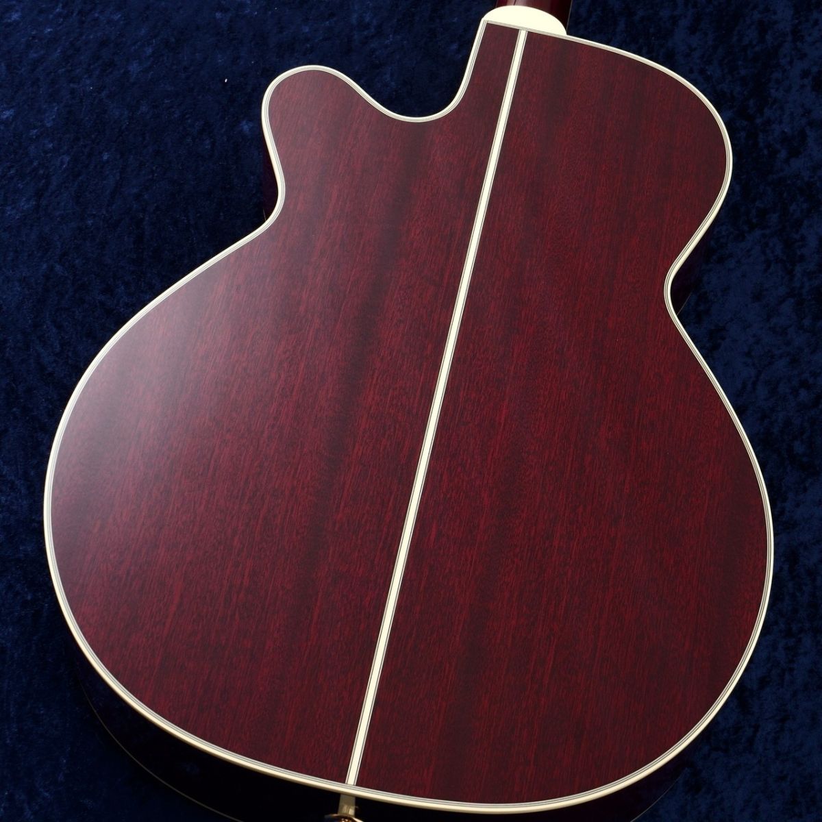 タカミネ　エレアコ　DMP551C 期間限定値引き 楽天市場】TAKAMINE DMP551C WR【スペア弦＆レビュー特典付き