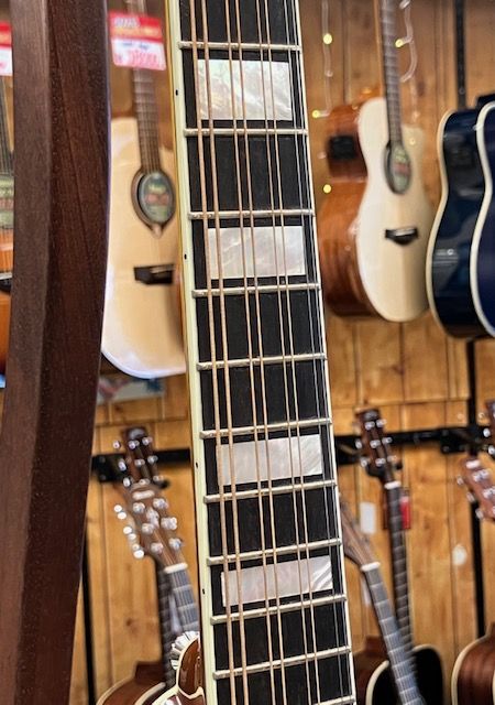 MDO-605 Octave Mandolin | 【クロサワ楽器店オンラインショップ