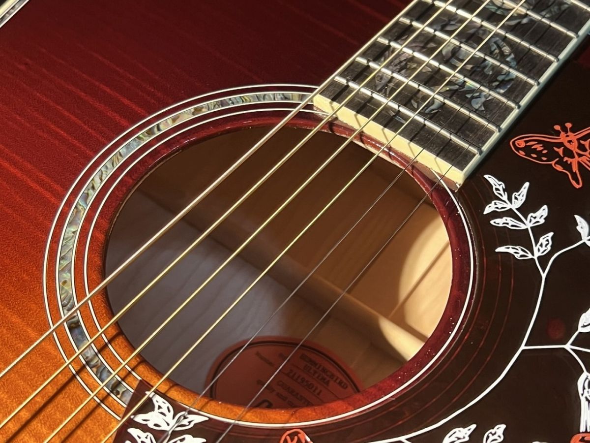 Hummingbird Ultima ~Autumn Burst~ #21195011 | 【クロサワ楽器店