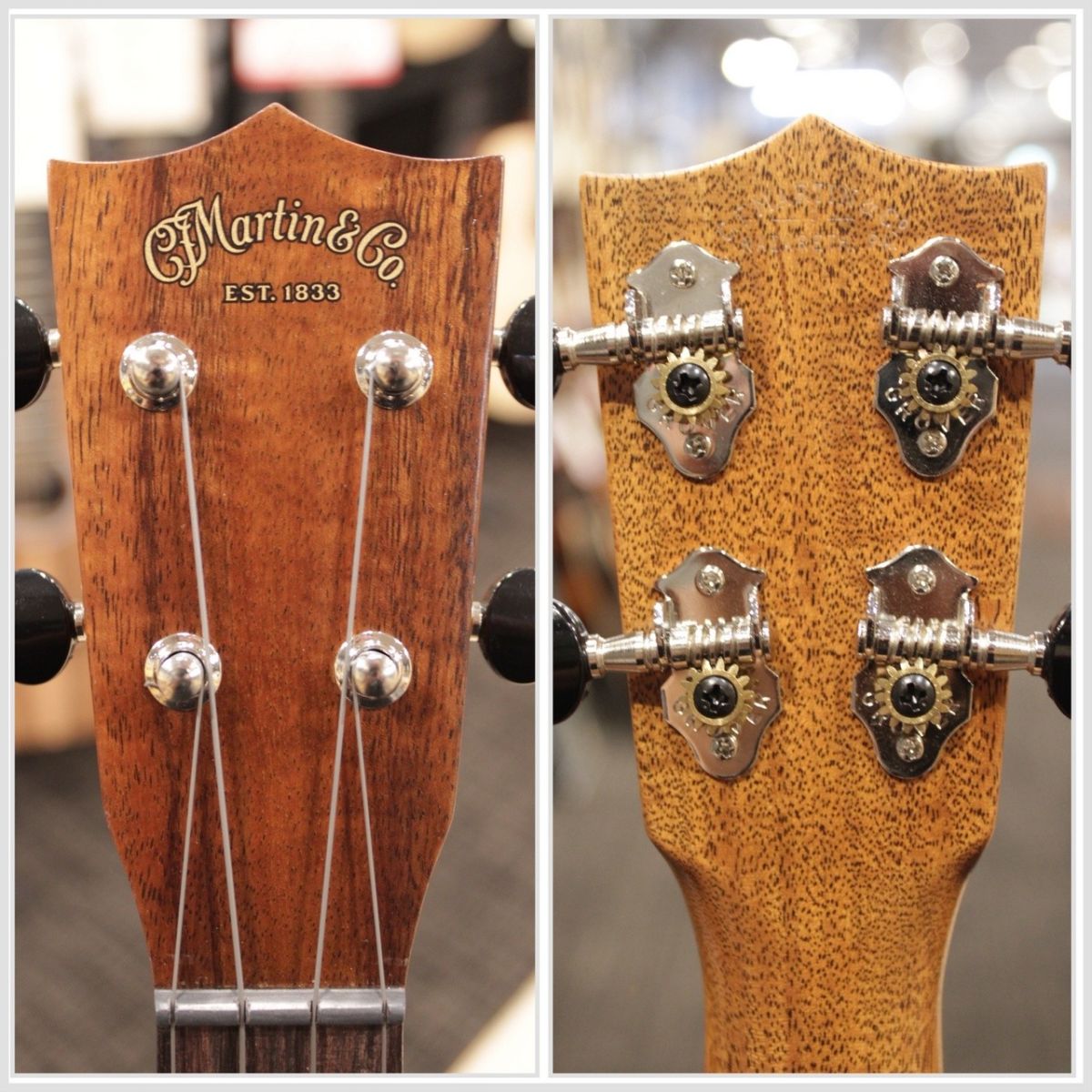 2K Concert Uke | 【クロサワ楽器店オンラインショップ】いい楽器との 