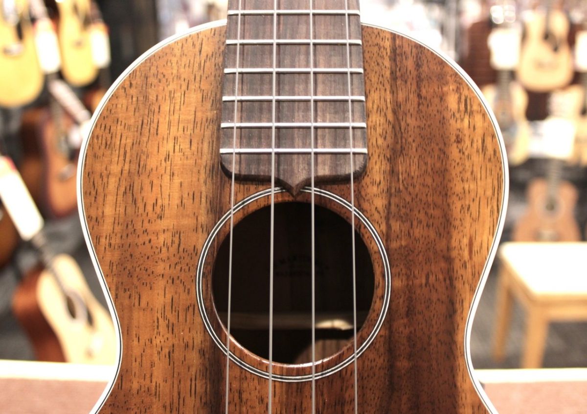 2K Concert Uke | 【クロサワ楽器店オンラインショップ】いい楽器との 
