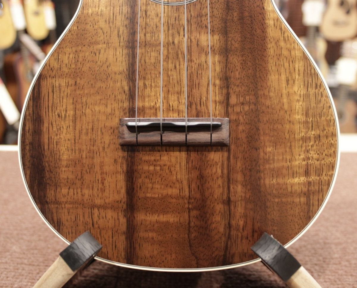 2K Concert Uke | 【クロサワ楽器店オンラインショップ】いい楽器との 