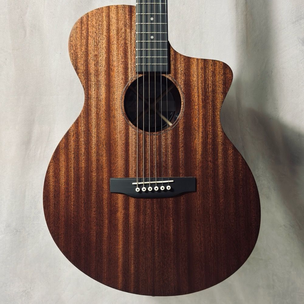 Martin 弦高低め　オール単板　エレアコギター　00-10E Special Martin 00-10E Special マーチン 【 イオンモール浜松市野店