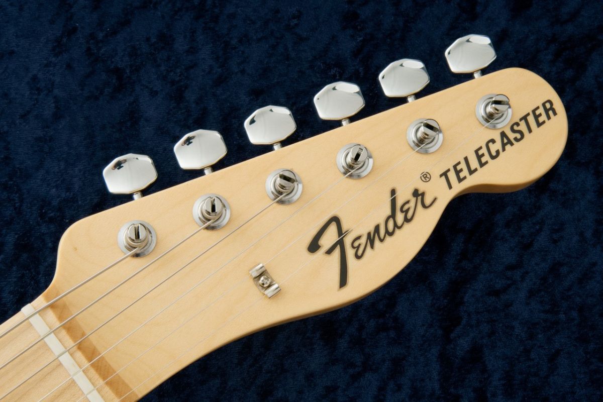 Made in Japan Limited Edition Telecaster -Blue Flower